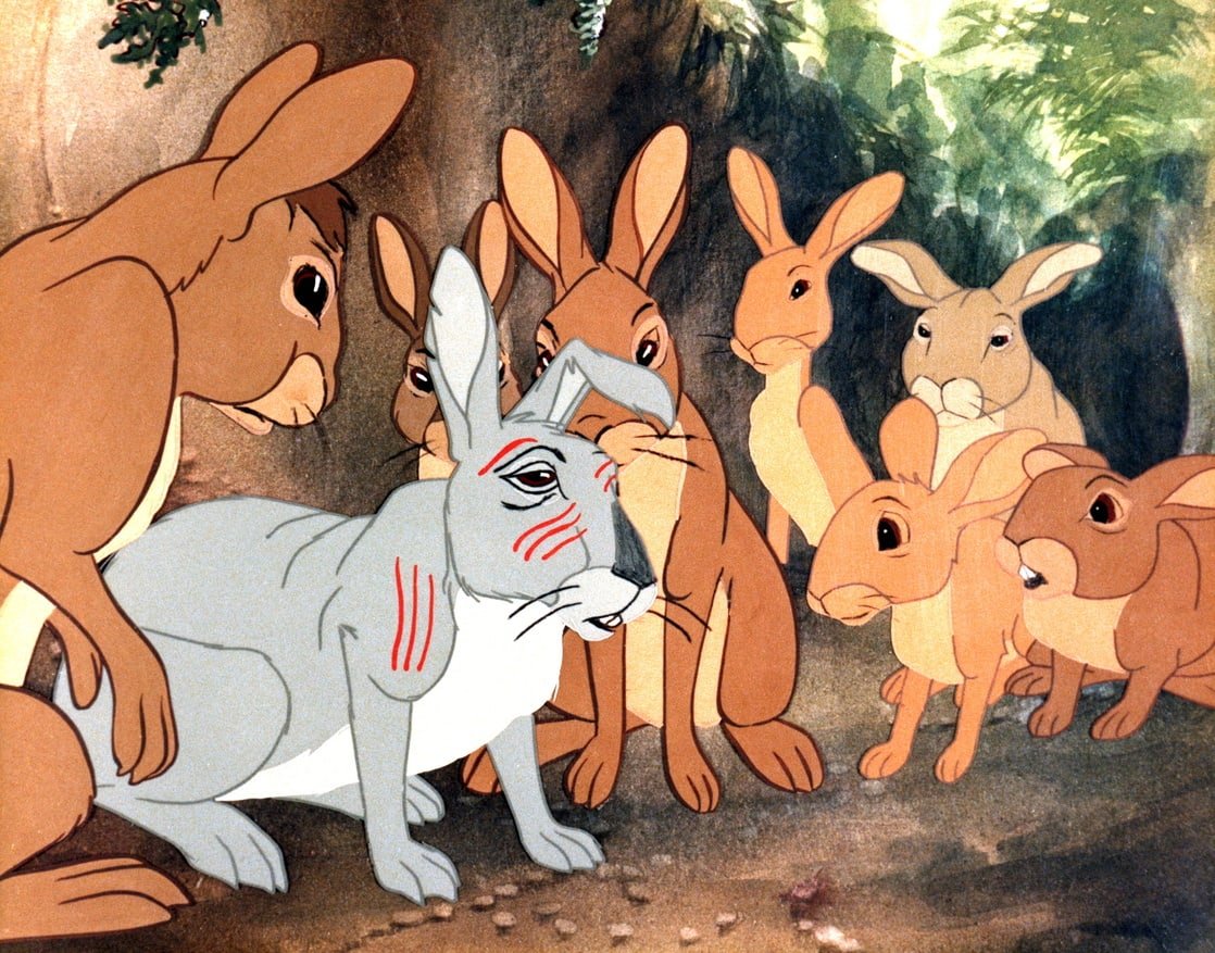 1118full-watership-down----------------------------------(1978)-screenshot
